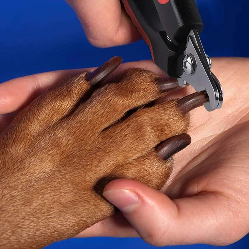 Pet Nail Clippers Cat Large Dog Nailclippers & Claw Trimmer Professional Grooming Tool for Bunny Rabbit Bird Puppy Kitten Ferret