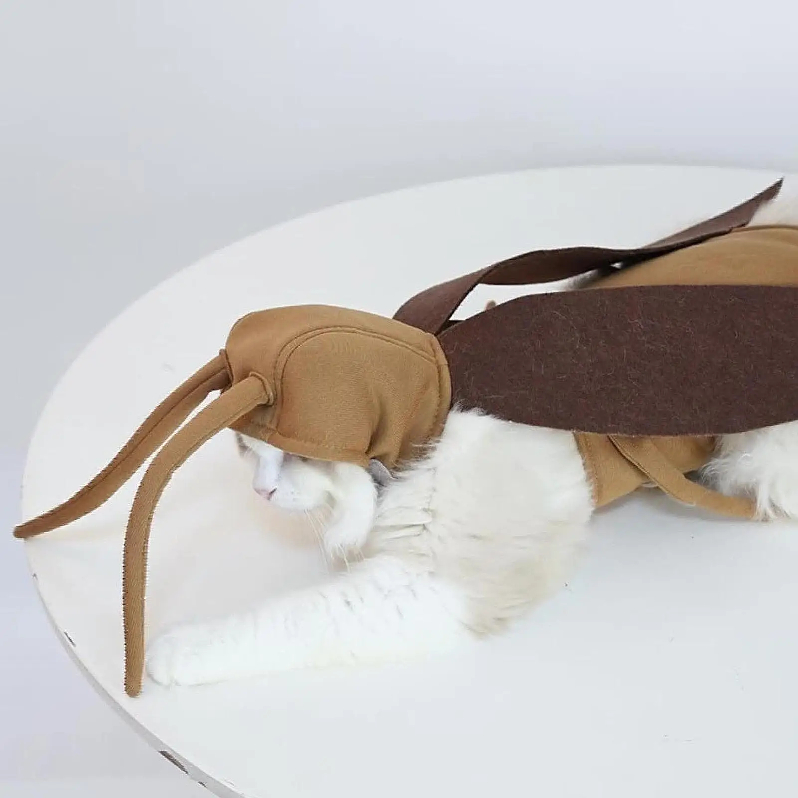 Creepy Cute Pet Costume 2