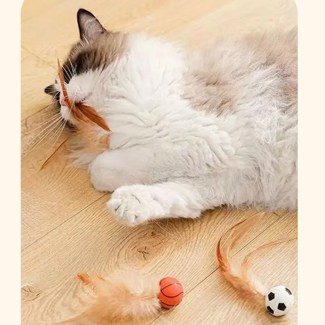 1/3Pcs New Cat Interactive Ball Toys Bouncy Balls with Feathers Indoor Cat Game Toy Feather Cat Training Catcher Pet Toy 4