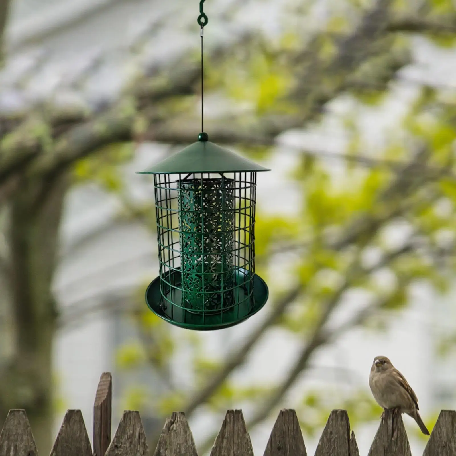 Metal Hanging Bird Feeder Green Birds Feeder,Rainproof Squirrel Proof Birdfeeder Bird Feeding for Outside,Lawn Balcony Garden