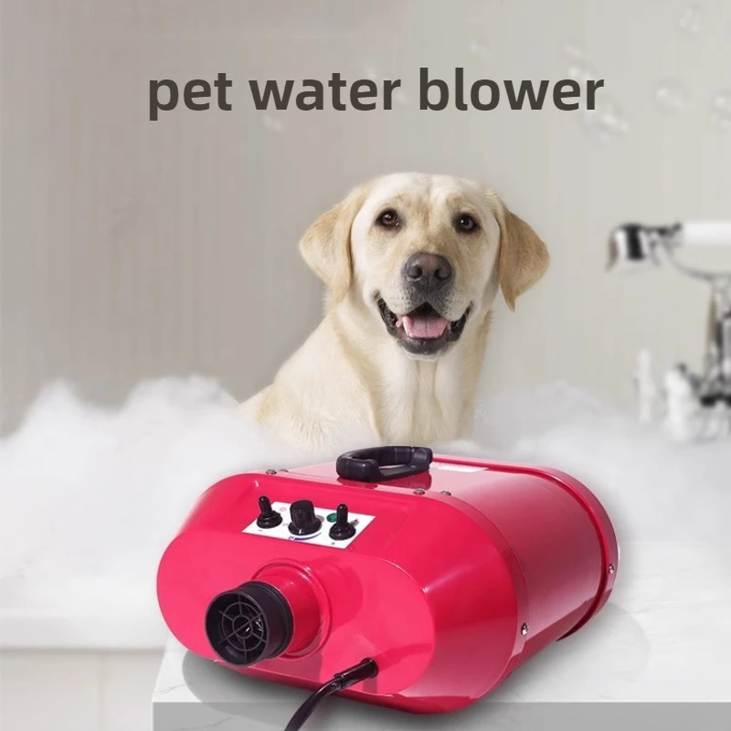 Dual Motor Pet Hair Dryer for Dogs High-power Silent and Large Dog Specific Hair Blowing and Drying Machine Pet Products