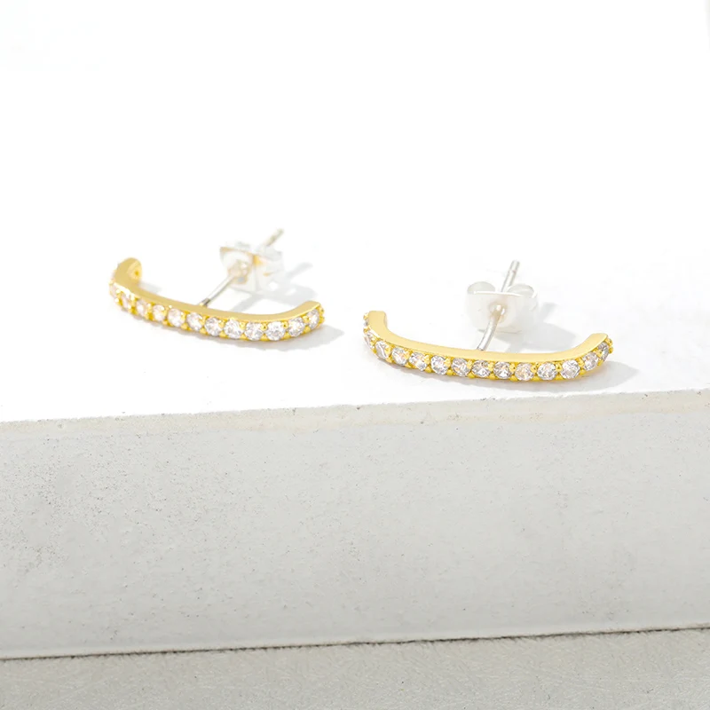 Zircon Minimalis Earrings Gold Color Stainless Steel