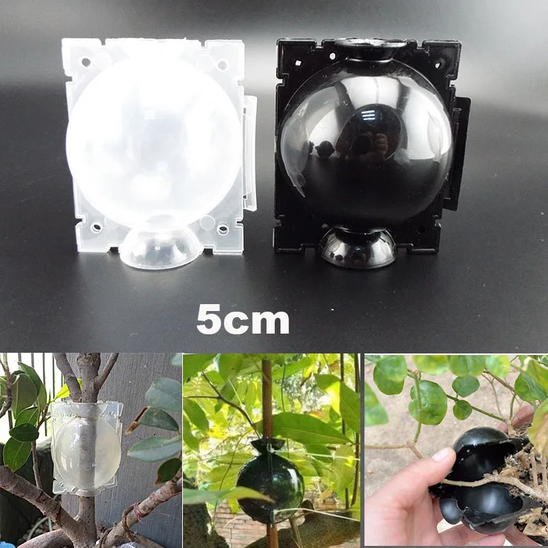 Plant Rooting Box Plant Rooting Pot 5pcs/Lot 5cm High Pressure Garden Plant Rooting Ball Root Growing Box Grafting Roots Grow Breeding Case