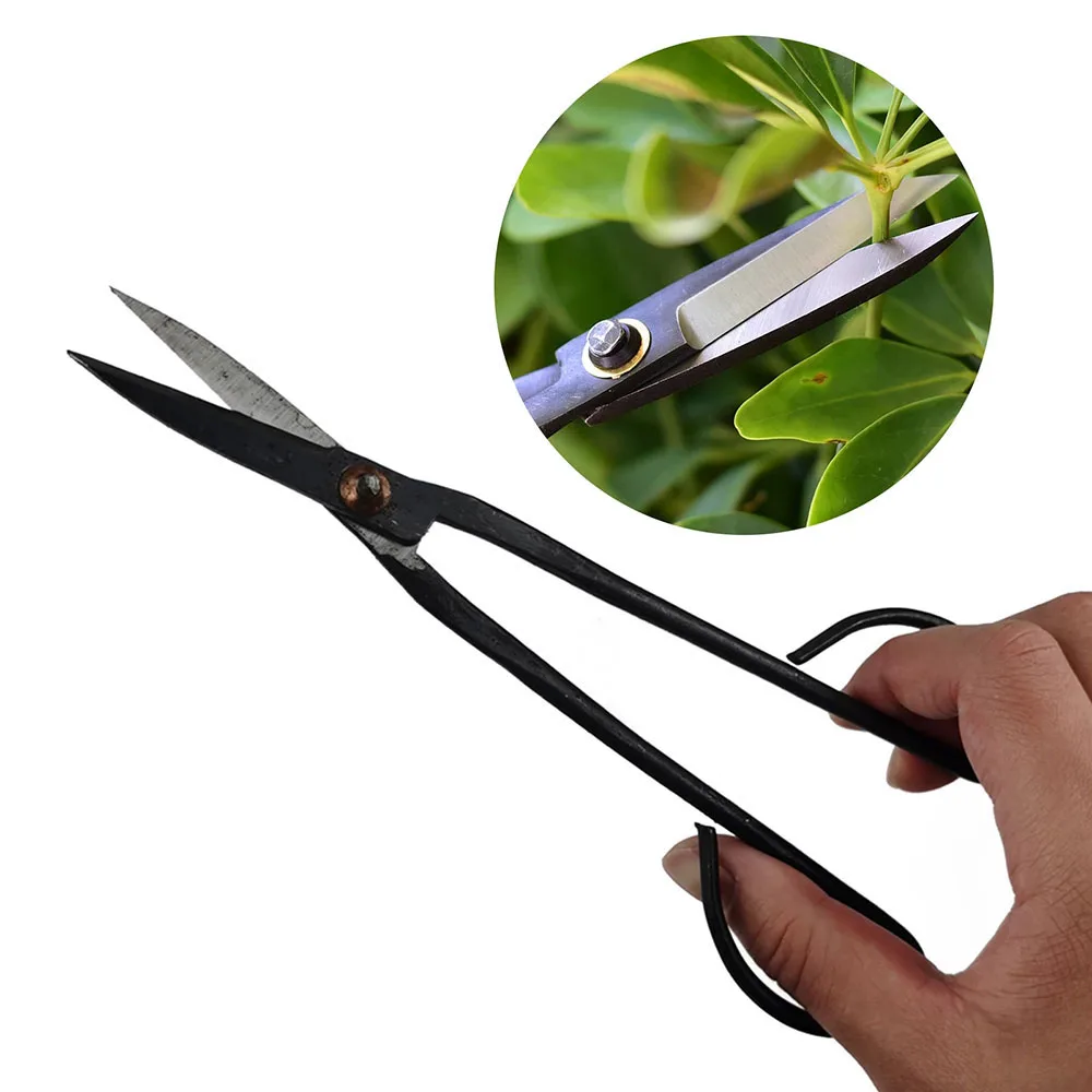 

21cm Beginner Bonsai Tool Long Handle Scissors Gardening Plant Branch Shears Garden Pruning Tools Bonsai Scissors Drop Shipping