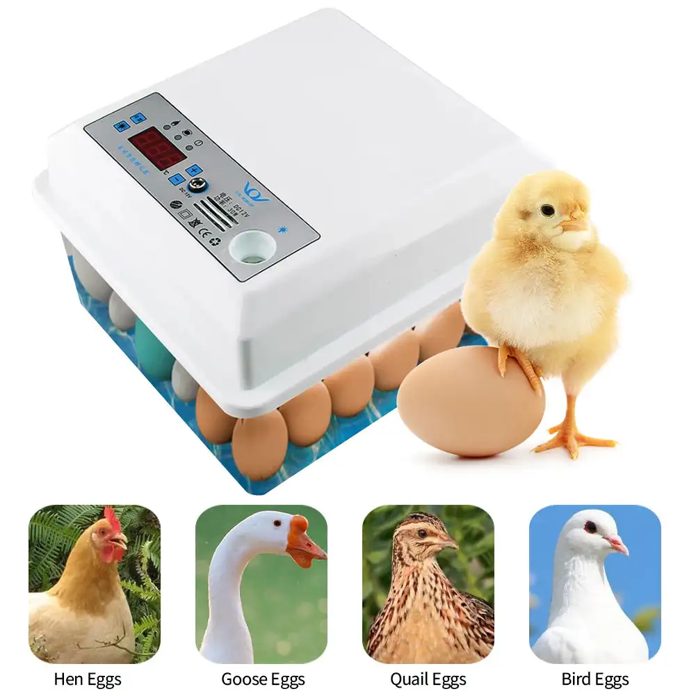 20 Eggs Incubator Brooder Bird Quail Chick Hatchery Incubator Poultry Hatcher Turner Automatic