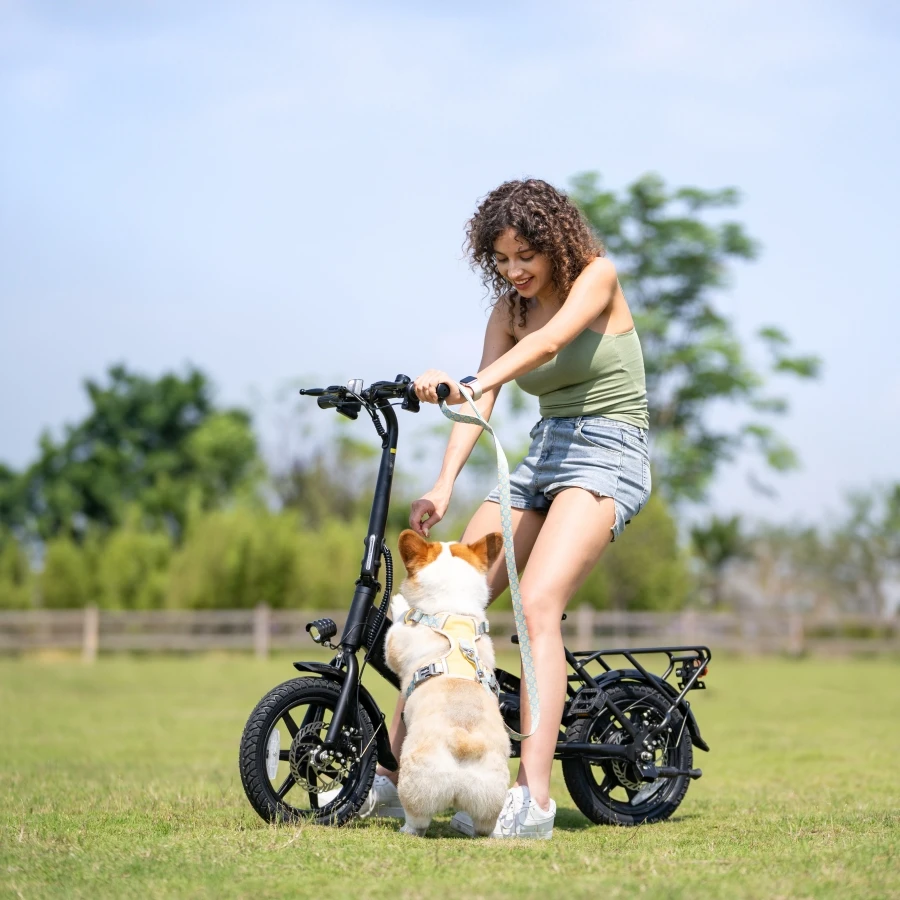 DYU C3 RTS Mini Electric Hybrid Folding Bike for Adults New Release with 36v Lithium Battery & down Tube Position