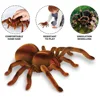 EBOYU 9986M RC Spider Remote Control Animal Large Size Realistic Tarantula Prank Gift Toys Vehicle Car Electric Kids Birthday 3