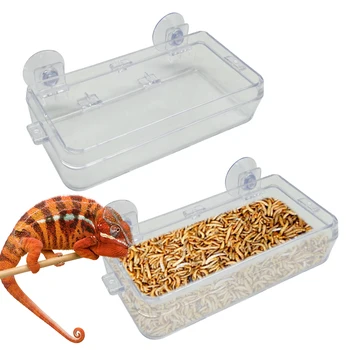 Reptile Feeding Bowl 1