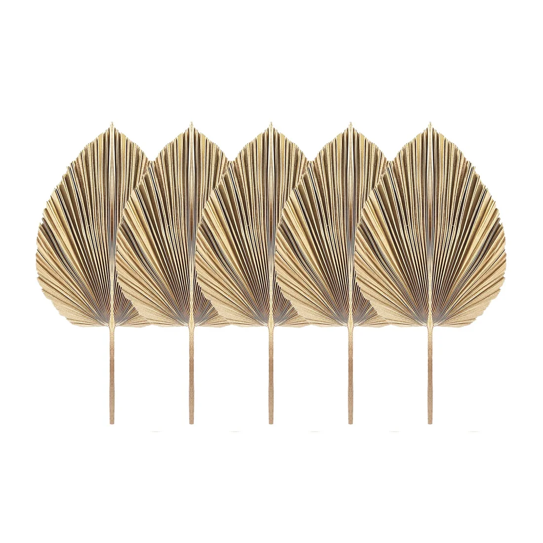 Dried Palm Leaves Decor 5Pcs Natural Dried Palm Leaves Tropical Dried Palm Fans Boho Dry Leaves Decor for Home Kitchen Wedding