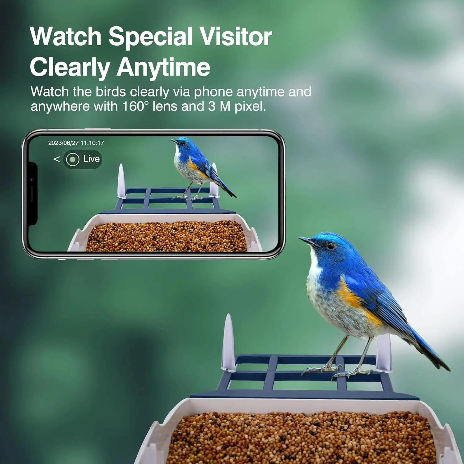 AI Smart Bird Feeder Camera 5