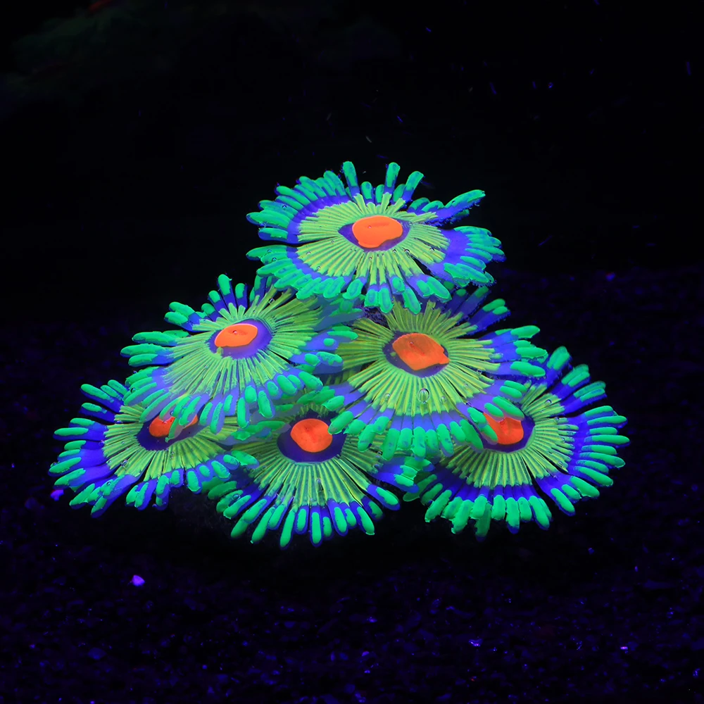 Fish Tank Decorations Silicone Simulated Sea Anemone Night Glow