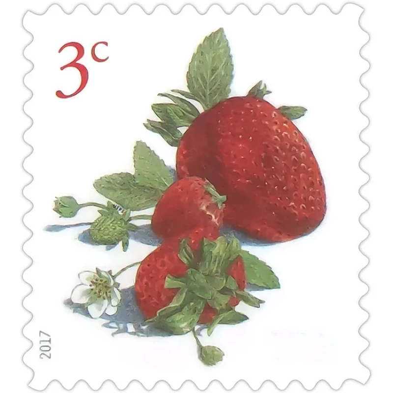 

Strawberriers Addition Unused Postage with Post Mark for Collecting Forever Stamps