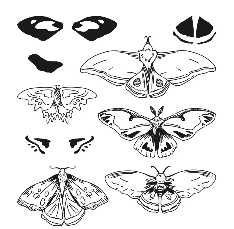

Butterfly Silicone Stamps And Cutting Dies For DIY Scrapbooking Embossed Decoration Template Paper Card Craft Dies Cut New 2023