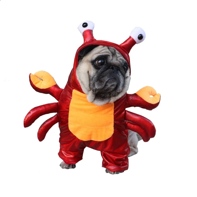 Déguisement Crabe Chic : Le Hit de l'Été pour Votre Petit Toutou - 2025 - Vêtement et accessoires pour chiens - Doglovedesign