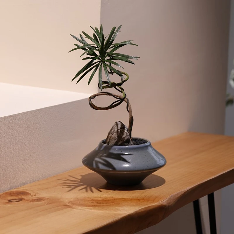 Narrow Modern Console Tables Hallway Porch Living Room Nordic Entrance Hall Tavolino Soggiorno Decor console table