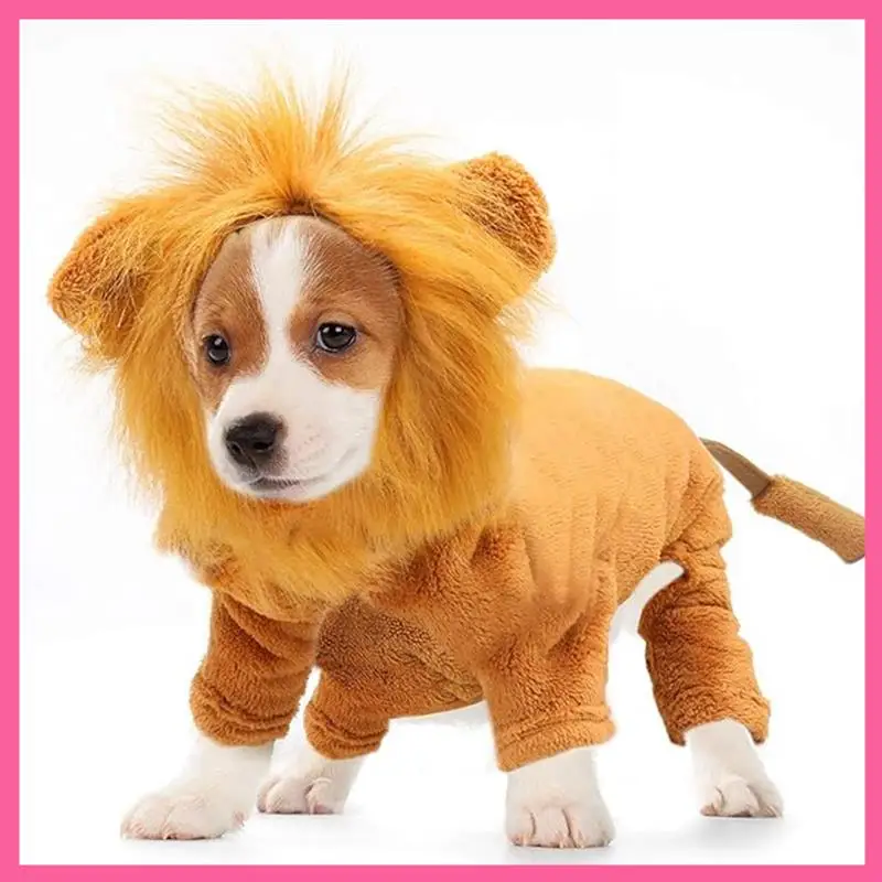 Dog Lion Costume 1