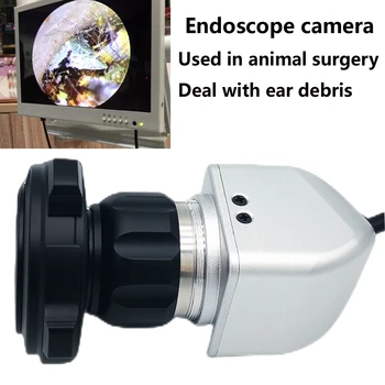 Endoscopio per la pulizia dell'orecchio telecamera per endoscopio veterinario medico animale endoscopia veterinaria portatile con testa della fotocamera e accoppiatore