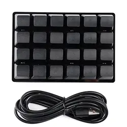 Compact Black 24-Key Custom Mechanical Keyboard with Programmable Keys (24 keys)