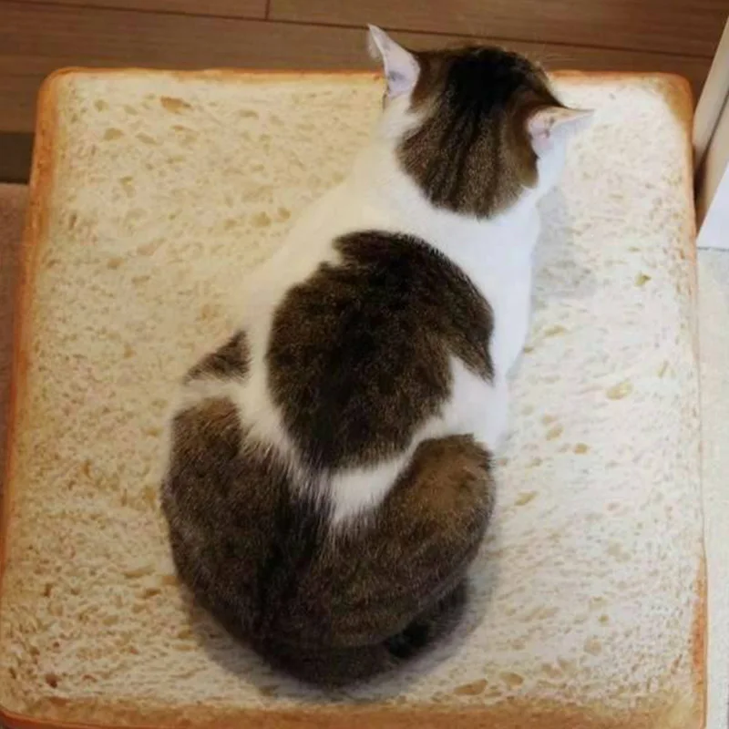 Bread Cat Bed Toast Bread Slice Style Pet Mats Cushion Soft Warm Mattress Bed for Cats Dogs
