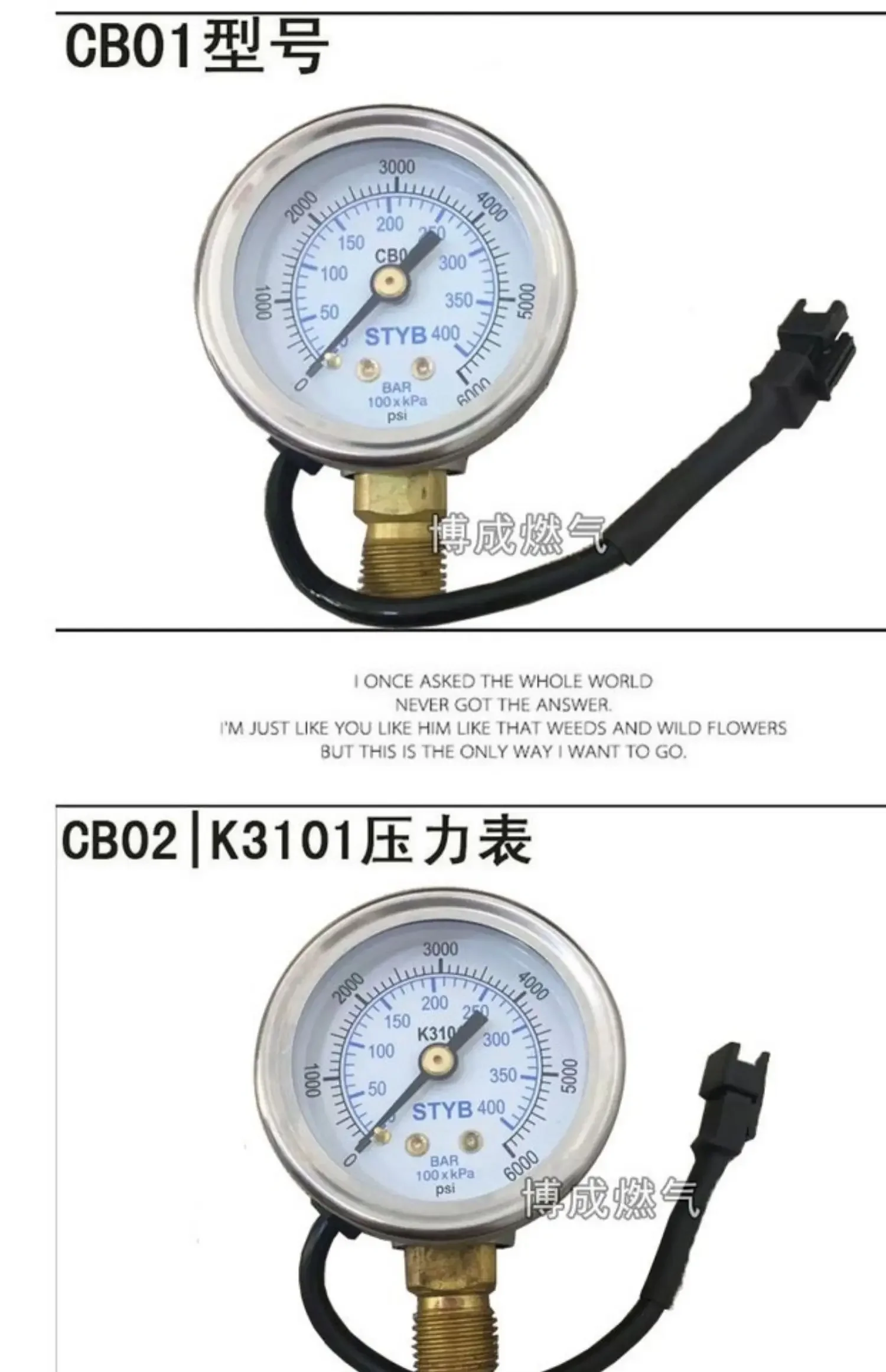 스테인리스 스틸 압력계 자동차 천연가스 CNG 가스