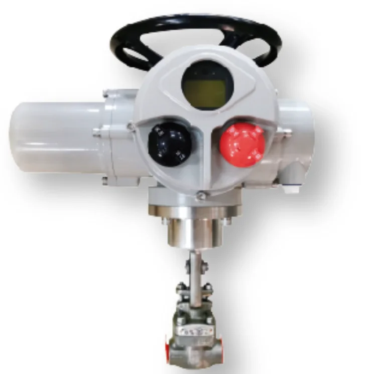 

Forged Steel Thread Globe Valve Intelligent Regulation Type Multi Turn Electric Actuator Globe Valve