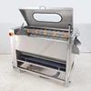 Potato Cleaning Peeling Machine Brush Automatic Water Spraying Radish Oyster Commercial Washing Equipment 4