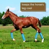 Fly Boots for Horses Set of 4, Breathable Plastic Mesh Design, Horse Supplies for Reduce Stomping, Hoof Damage & Leg Fatigue 4