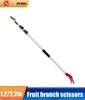 High Branch Shears for Picking Persimmons  Longans  Lychees and Grapefruits Telescopic Extension Poles Garden Tools 1
