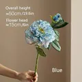 Blue A