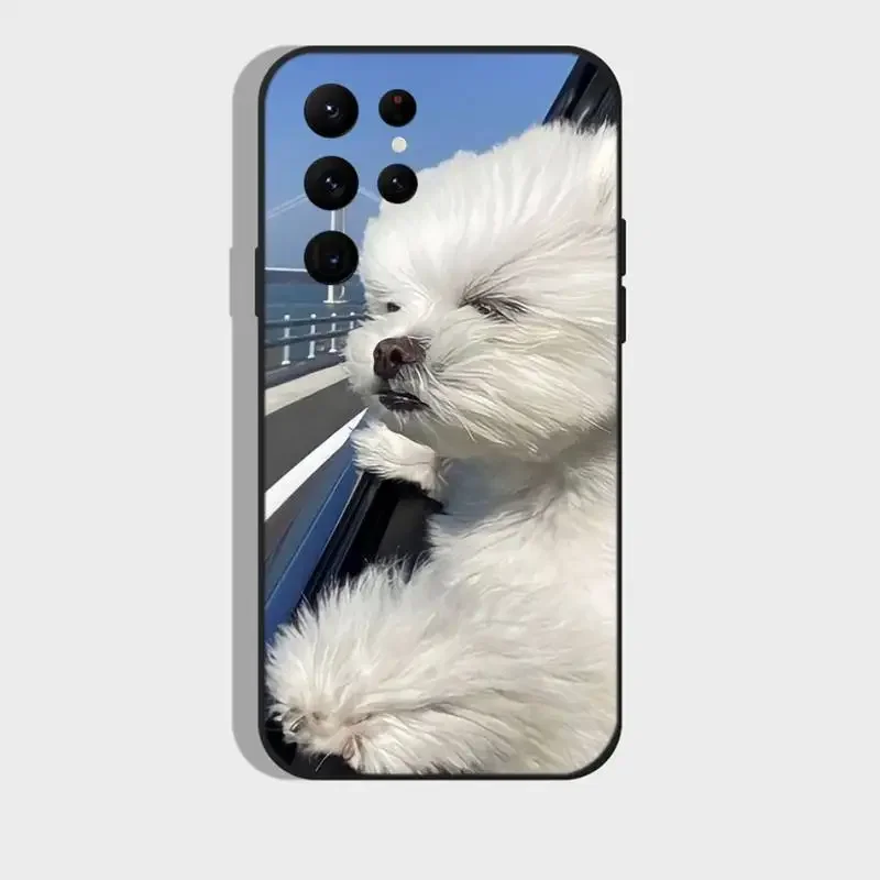 Maltański pies Puppy Cute etui na telefon Samsung S21 S22 Ultra S20 S30 plus S22 plus S23 S30ultra 5G silikonowe etui