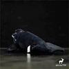 Bowhead Whale High Fidelity Anime Cute Plushie Humpback Right Whale Plush Toys Lifelike Animals Simulation Stuffed Doll Kawai 3