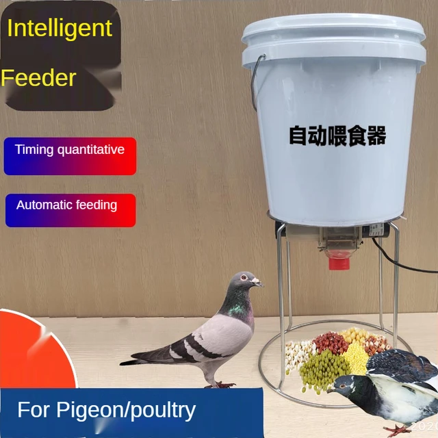110/220V  18watt powerfull Pigeon chicken duck Automatic Feeder Trough Smart Self-help Timing Horse Feeding Artifact - Image 2