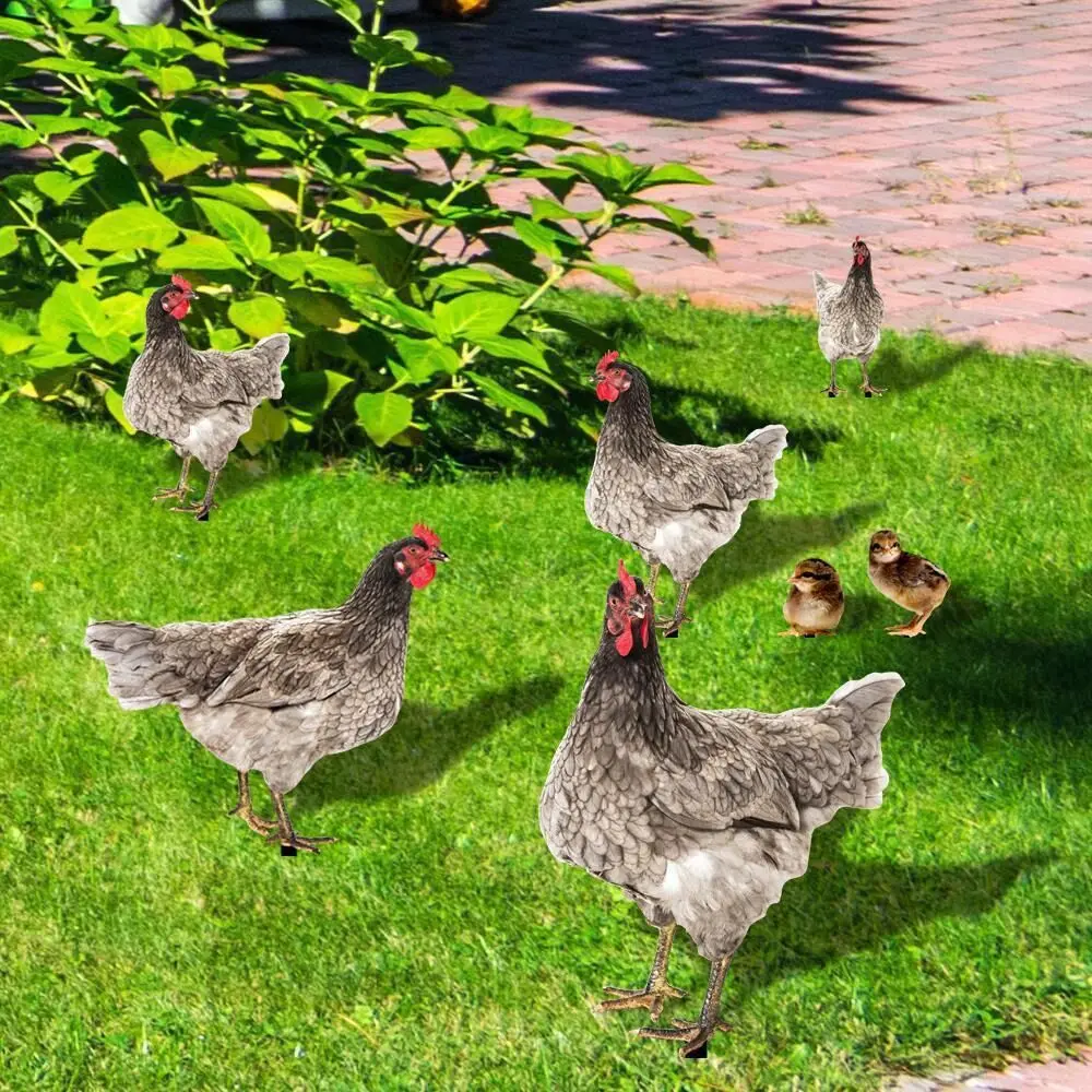 

Realistic Rooster Statues Acrylic Double-Sided Printing Outdoor Garden Sculptures Chicken Ornaments Yard Decor Garden Supplies