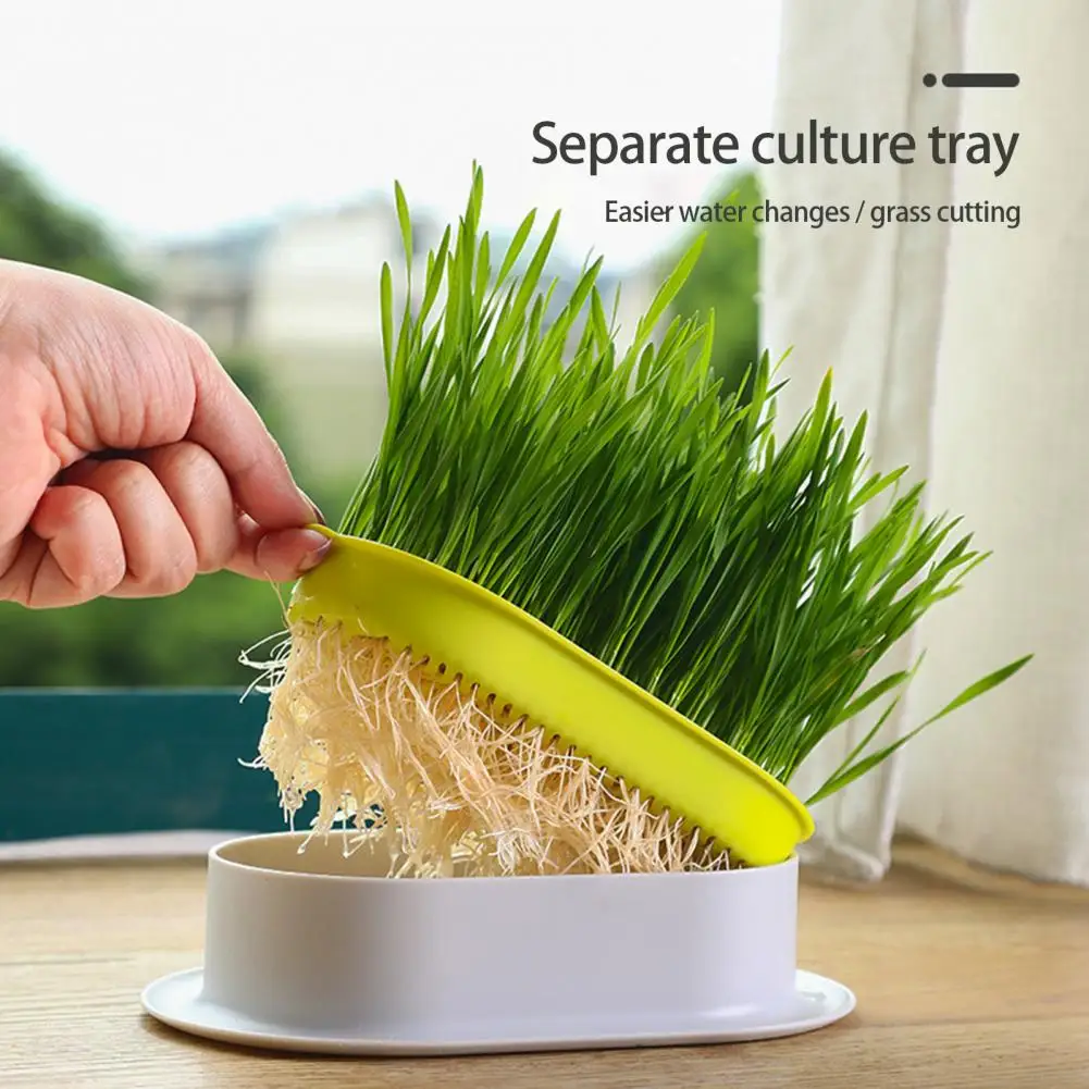 

Hydroponic Sprouting Tray Double Layer Reusable Thick Pet Cat Sprout Dish Growing Pot Germination Tray Pet Supplies