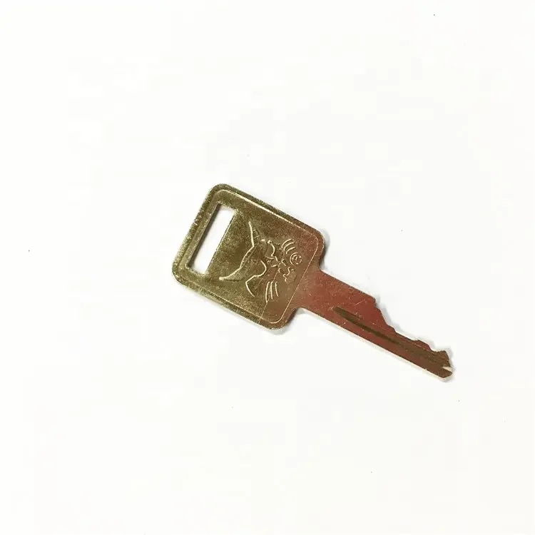 2Pcs D250 Key 6693241 Per Minipala Bobcat E Mini Escavatore
