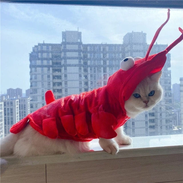 Fish Cat Costume