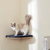 Wall Mounted Cat Tree Wooden Shelves Scratching Posts Climbing Cat tower Hammock With Solid Floating Perches Steps and Ladder 4
