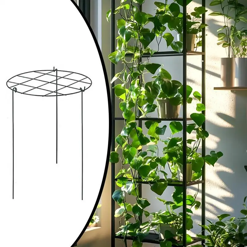 SYITCUN 8pack Peony Cages And Supports, 24