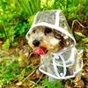 During the rainy season, dogs go out in transparent raincoats; Hooded waterproof jacket made of soft PVC material, dog raincoat 6
