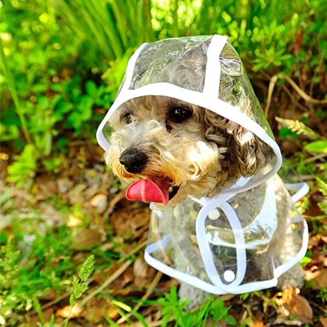 During the rainy season, dogs go out in transparent raincoats; Hooded waterproof jacket made of soft PVC material, dog raincoat 6