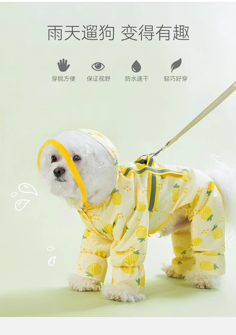 chihuahua waterproof coat