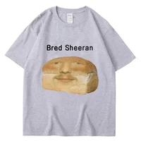 Funny Ed Sheeran Meme Print T Shirts Men Women Humor Creativity Short Sleeve Oversized Casual Spring Summer T-shirt Streetwear 2