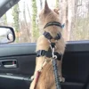 Dog Leash Harness Dogs Dog Accessories Supplies Pet Dog Car Seat Belt Retractable Buffer Elastic Reflective Safety Traction Rope 6
