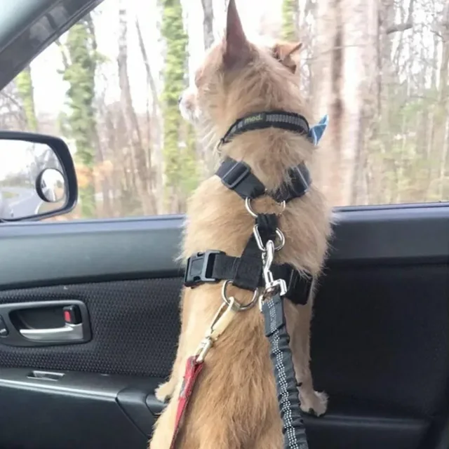 Dog Leash Harness Dogs Dog Accessories Supplies Pet Dog Car Seat Belt Retractable Buffer Elastic Reflective Safety Traction Rope 6