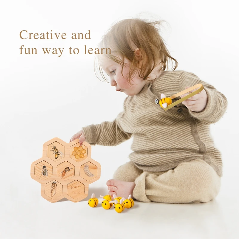 Honeybee Growth Cycle Cognitive Card  Wooden Beehive Bees Grab Toys  Hand And Foot Coordination Game  Infant Cognitive Toy  Gift 3