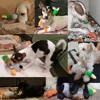Cute Plush Duck Sound Pet Toys Stuffed Squeaky Animal Squeak Dog Toy Cleaning Tooth Dog Chew Rope Toys Pet Dog Accessories Toys 6