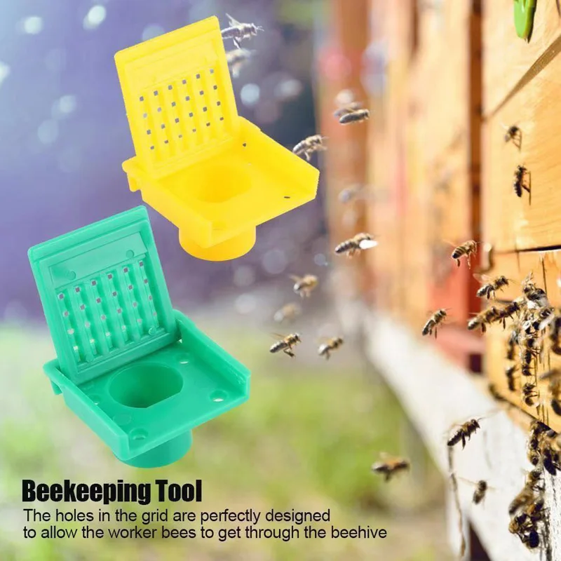 Jahhsay® 1/20Pcs Beehive Entrance Exit Cone Plastic Beehive Escape Equipment Beehive Way Gate Entrance For Beekeeping Y7s9 003e2e20 B8f3 44c1 B525 09998a7b9a09.84295c7949ecfbf5ccbaab9f59b8c85e