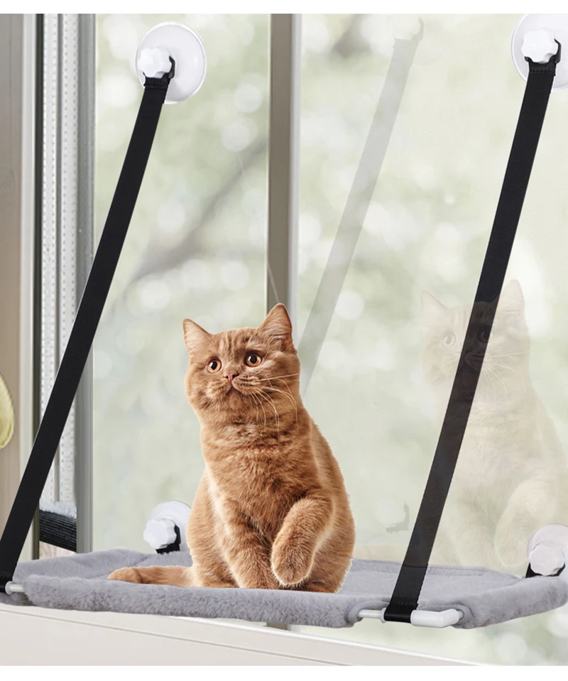Hangende dubbellaagse fluwelen kattenhangmat Winter Warm Nest Raam Zuignap Hangmat Huisdierbenodigdheden 20 kg Kattenaccessoires - hoogwaardig product