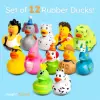 Rubber Ducks - 12 Piece Bulk Pack for Bath, Pool, Party, Cruise, Jeep Ducking, Decoration & More - Small Assorted Funny Toy Duck 2