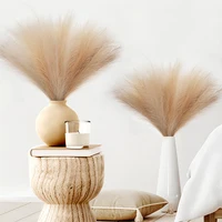 Faux Pampas Grass Beige 10PCS,Small Artificial Pompas Grass Decor for Vase,Fake Fluffy Pampas Floral for Home Wedding Boho Decor 1